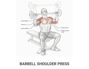 https://www.transformationandfitness.com/2020/04/the-best-workout-for-shoulder.html